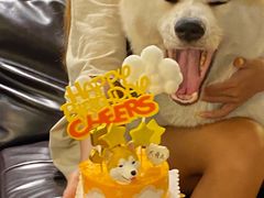 -YCHL Studios健身工作室(市二宫店)
