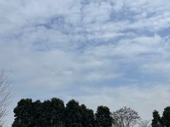 -国际非物质文化遗产博览园