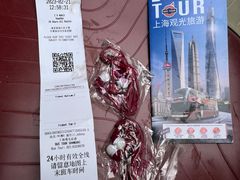 -BUS TOUR观光巴士