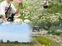 -汉长安城未央宫国家考古遗址公园