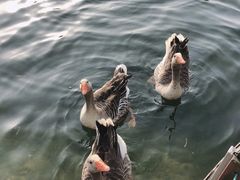 -西郊宾馆·1921餐厅