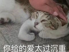 -杉杉奥特莱斯广场(哈尔滨店)
