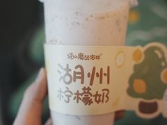 柠檬奶-猫的魔法密林(衣裳街店)