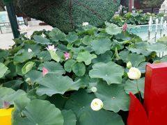 -洛阳龙门海洋馆