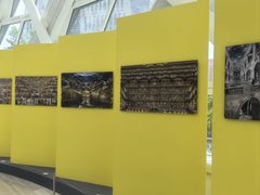 -凤凰中心