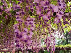 -青州市云门山风景区