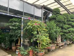 -金科花卉市场