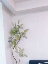 -小梨·OndaPro·专业脱毛连锁机构