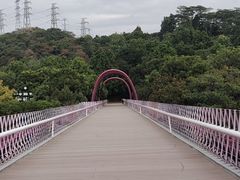 -玉树公园