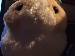 -LLJ夹机占(清河万象汇店)