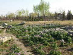 android_upload_pic-门城湖公园