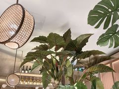 -船歌·鱼水饺青岛菜(恒隆广场店)