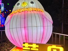 -武汉园博园(武汉自然博物馆)