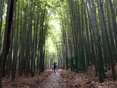 -宝岩生态观光园
