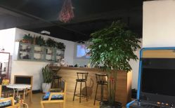 -英刺青 纹身 洗纹身