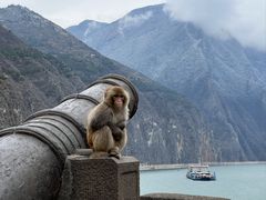 -白帝城·瞿塘峡景区