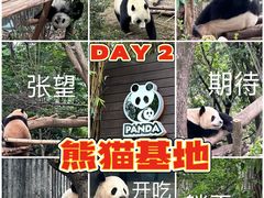 -成都大熊猫繁育研究基地