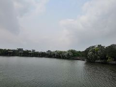-大湾区中央湿地公园