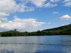 -西湖外事游船(花港观鱼码头)