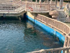-广东惠东海龟国家级自然保护区