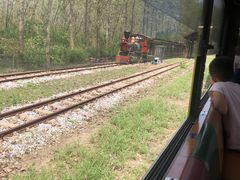 -合肥滨湖国家森林公园