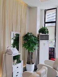 -妍理·植物养发