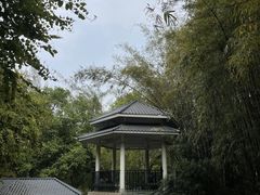 -晓港公园