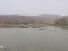-紫金山山顶公园