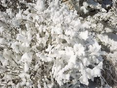 -国信南山温泉