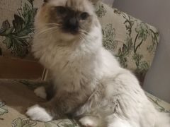 -万小咖.猫咖(中山路天虹店)