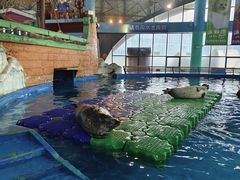 -海合安武汉极地海洋公园
