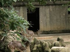 -成都动物园
