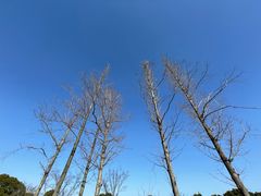 -嘉北郊野公园