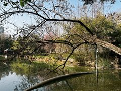-水绘园