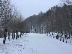 -雪谷