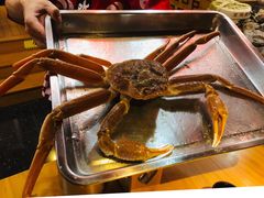 -綱元·海鲜豆捞(明州里店)