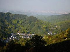 -龙井村