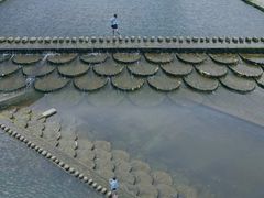 -尚田草莓姑娘白草莓采摘基地