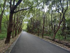 -同里国家湿地公园