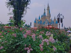 -上海迪士尼度假区