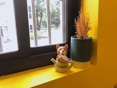 -22cafe