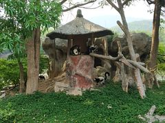 -清迈夜间动物园