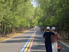 -同里国家湿地公园