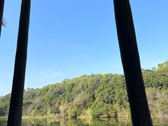 -番禺大夫山森林公园