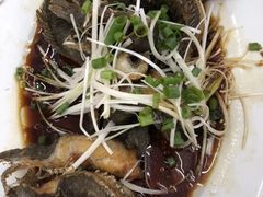 -凤城康记饭店