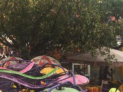 -顺德大良半月城游乐场