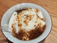 -古树酸奶(八廓南街店)