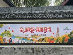 -上海佘山国家森林公园天马山园