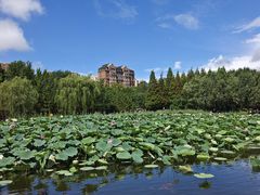-前关湿地公园