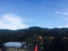 -山东鸿发申鲁上汽大众4S店